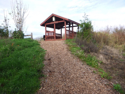 Bark chip trail with steep grade – shelter with bench overlooking wetland – step at shelter